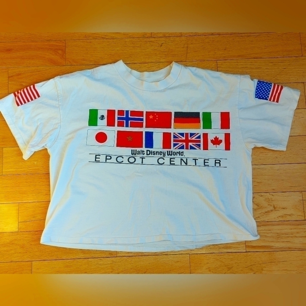 ๐นDisney VINTAGE epcot centre crop top